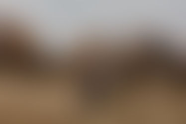 Parfotografering i Östersund