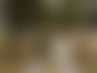 AUGUSTIBRÖLLOP PÅ ROSENHANSKA MAGASINET MED VIGSEL I BETTNA KYRKA