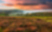 HM North York Moors.jpeg