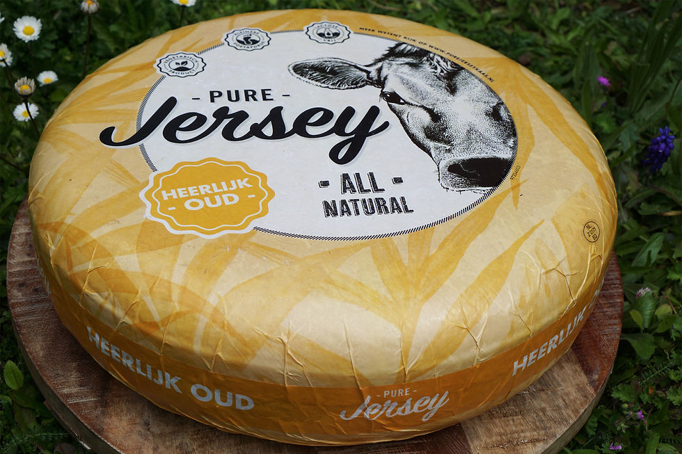Miniaturbild: Alter Jerseykäse