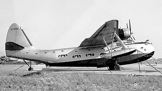0104769 (1).jpg