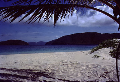 image0082.jpg