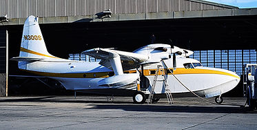 0534809.jpg