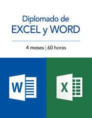 Diplomado de Excel y Word.png