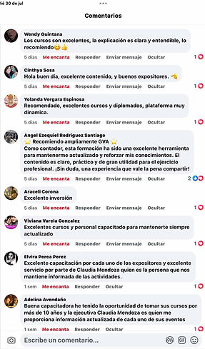 Comentarios GVA 5.jpg