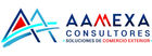 AAMEXA CONSULTORES