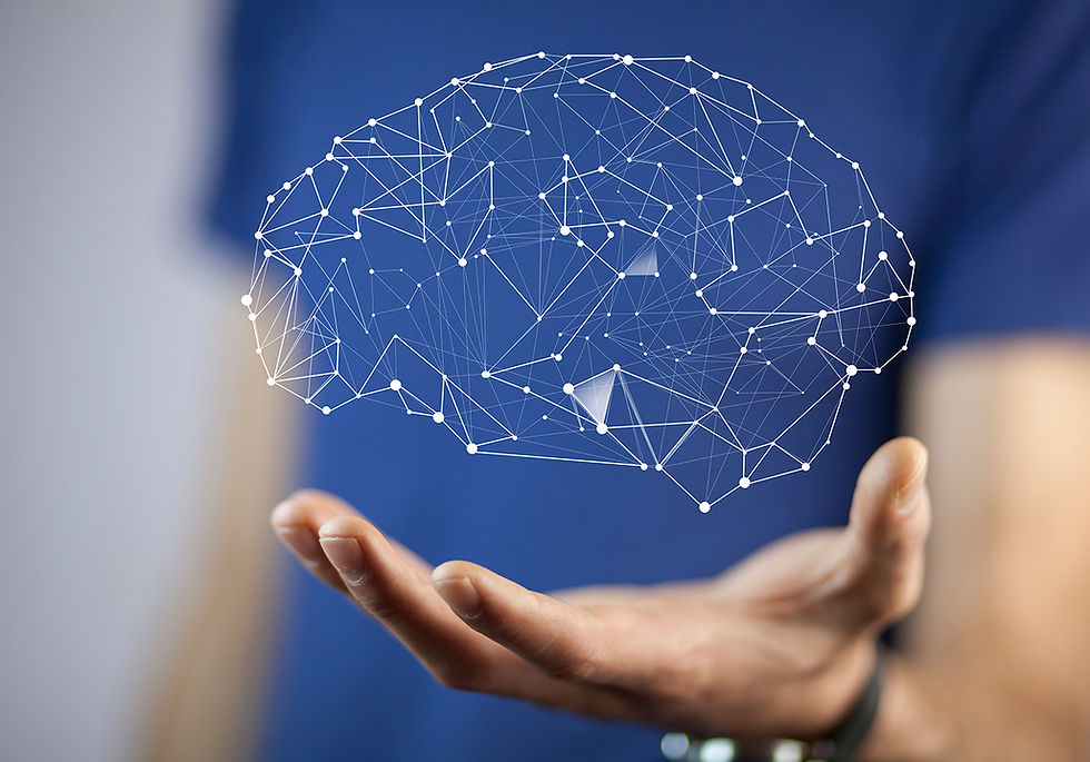 Cerebro humano