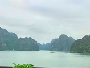 סבתא מטיילת וממליצה- ויאטנם מרץ 25 חלק 2