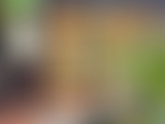 טאם קוק והוי אן ויאטנם טיול לסבתא