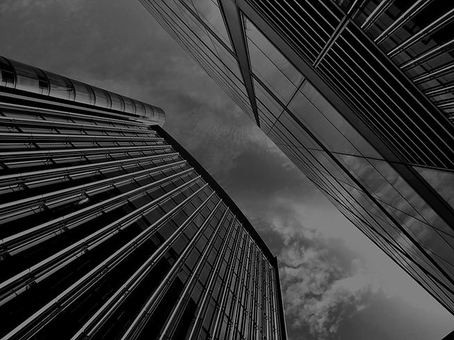 pexels-sevenstorm-juhaszimrus-425122_edited.jpg
