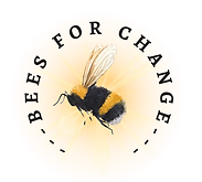 Screenshot 2025-09-11 at 20.22.36.png