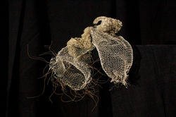 Werk Catherine 25 Sept 2020-6329