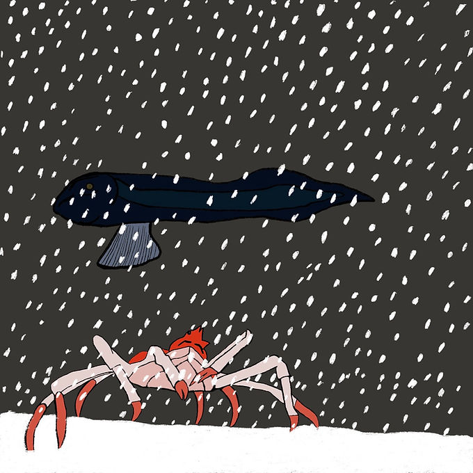 A drawing of a spider crab and a fish at the bottom of the ocean moving through marine snow