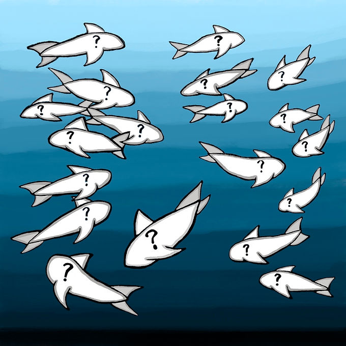 A series of unknown fish with question marks on them swimming at different sea-levels in the ocean