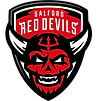 London Broncos logo