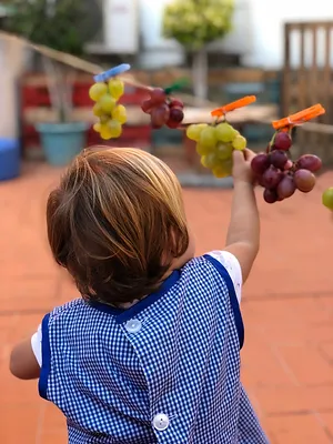 Wallpaper Noticies Elniero Free HD