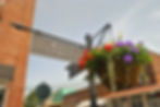 Main street sign with hanging basket with flowers