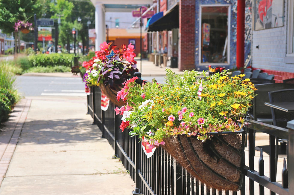 Hanging baskets on black metal fence