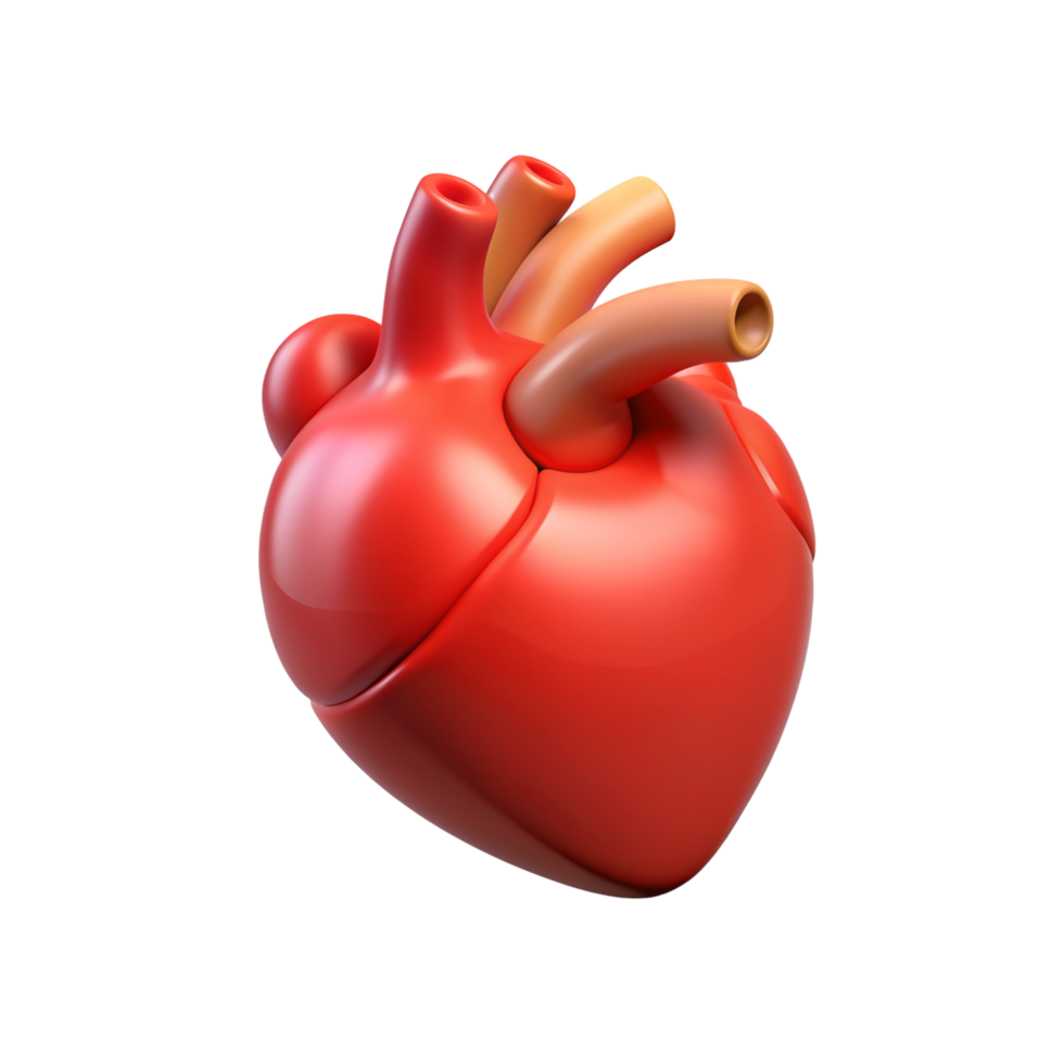 3d-human-heart-icon-transparent-free-png.png
