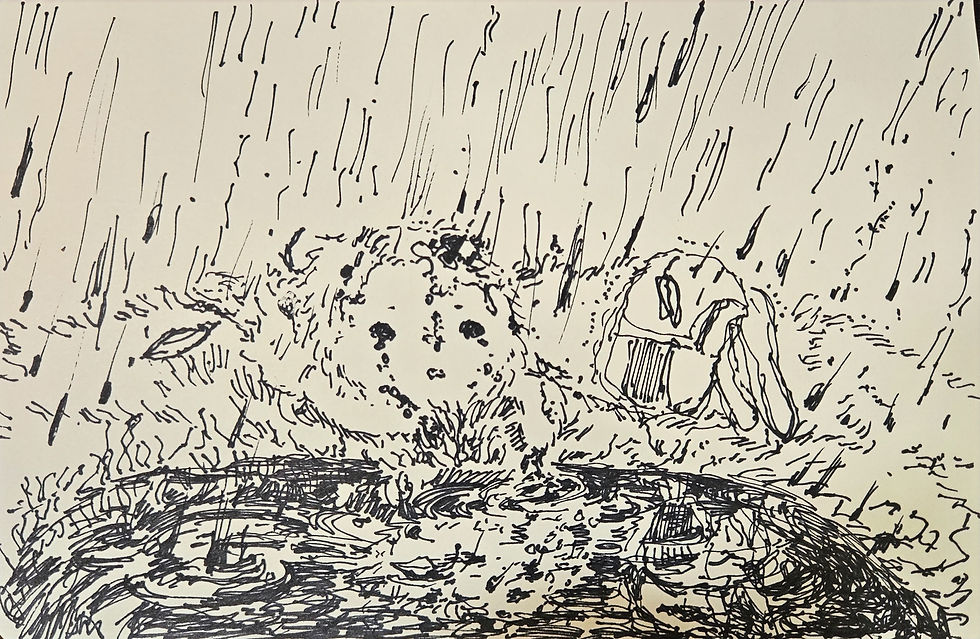 In the rain, pen on paper, 2024