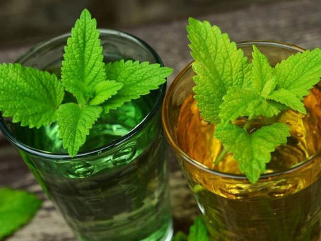 12 Amazing Health Benefits of Lemon Balm