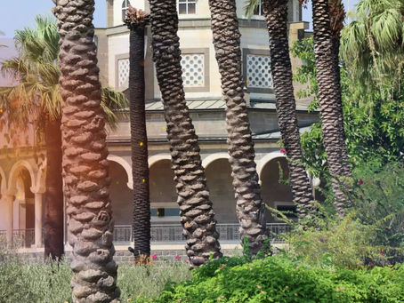 "שישי בוקר עם ניר": סיור נצרות בגליל