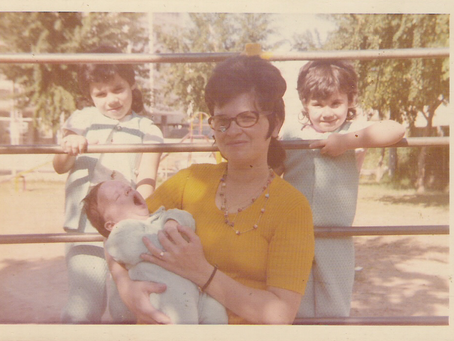 פָּרָשַׁת עֵקֶב - 23.8.24