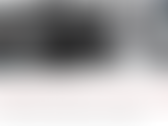 “The Book of the Israel Exploration Society” - Jan 3, 2025