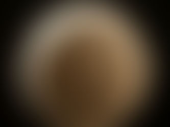 פָּרָשַׁת כִּי תֵצֵא - 13.9.24