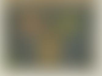 ווייז למאמין במאה ה-16: המפה שלא הציגה את הדרך הקצרה, אלא את הדרך הנכונה