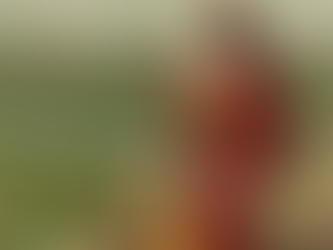 פָּרָשַׁת כִּי תָבוֹא - 20.9.24