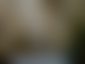 Where Empires, Heroes, and Hidden Caves Converge: The Secrets of the Judean Lowlands