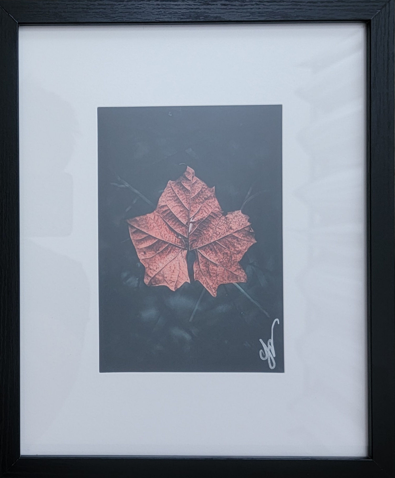 Star Leaf #029 5x7 Original