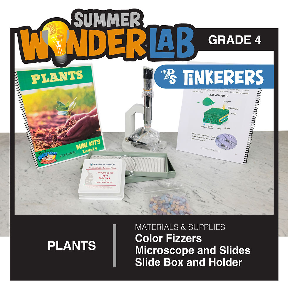 Thumbnail: Grade 4 • Tinkerers