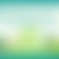 エリアマネジメント事業