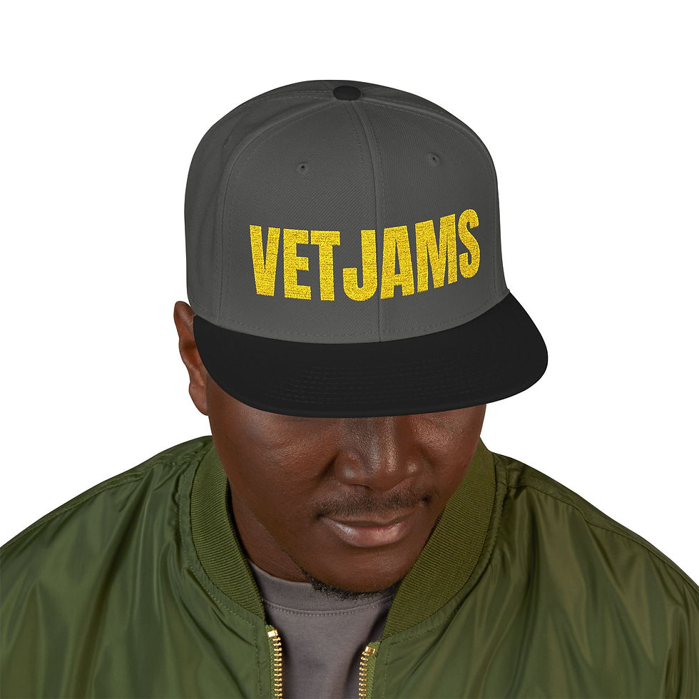 Thumbnail: VetJams Stencil Hat, VetJams Gear
