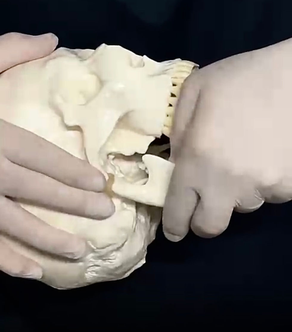 Craniomandibular Rehabilitation Alexandru Mazareanu