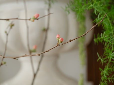 To Become - A Beginner's Story