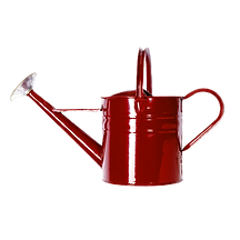 Red Watering Can_edited.png