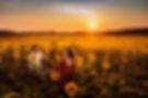 __Virginia-Family-Photographer-sunflowerfields_0007_edited.jpg