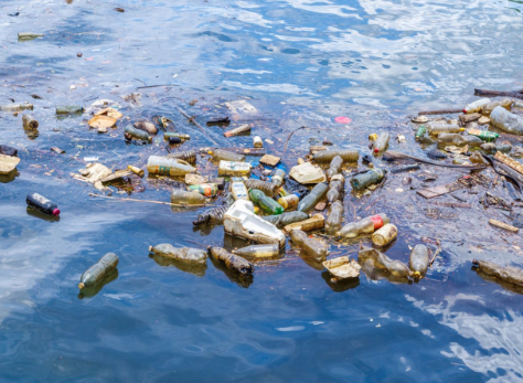 Marine Pollution & Combative Legislation in the Mid-Atlantic Region