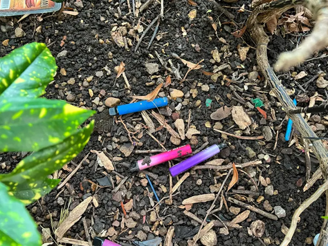 How Vapes and E-cigarettes are Affecting Our Environment