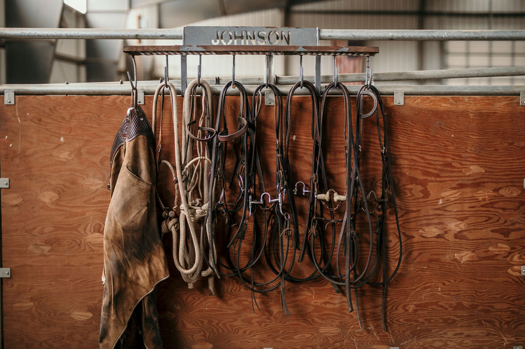 Tim Johnson Cutting Horses Cutting Horse Blog NCHA Horse Trainer