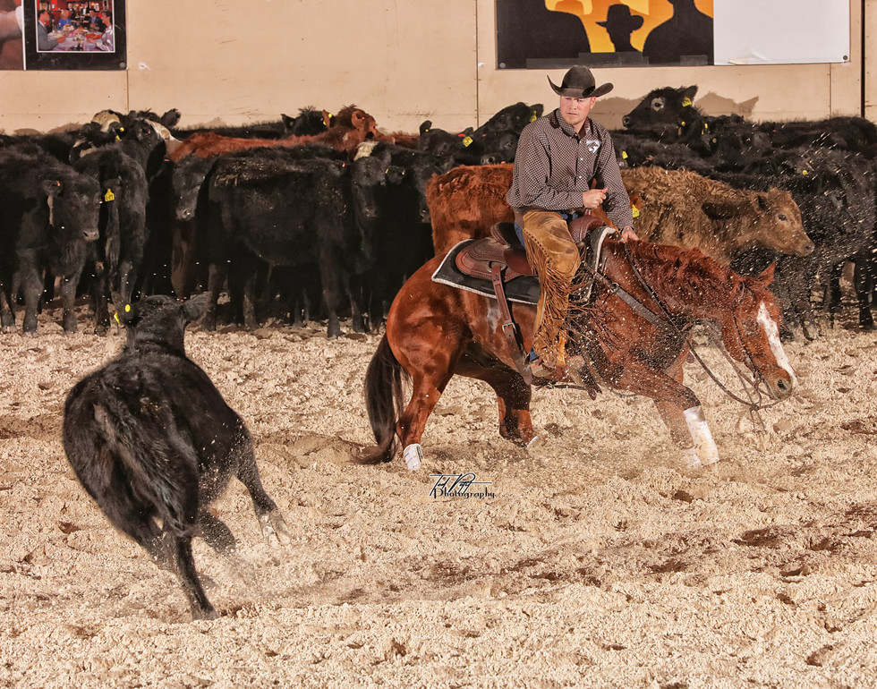 Tim Johnson Cutting Horses Cutting Horse Photo Gallery