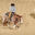 Writer: Tim Johnson Cutting Horse