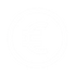 euro monnaie