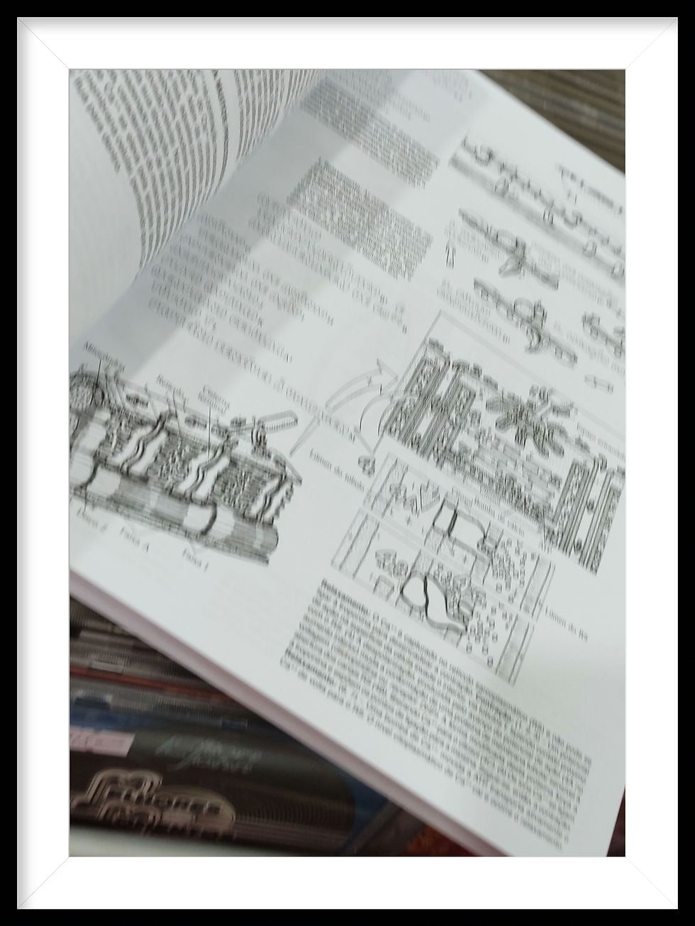 Miniatura: Fisiologia um Livro para colorir Kapit/Macey/Meisami 2 edição  