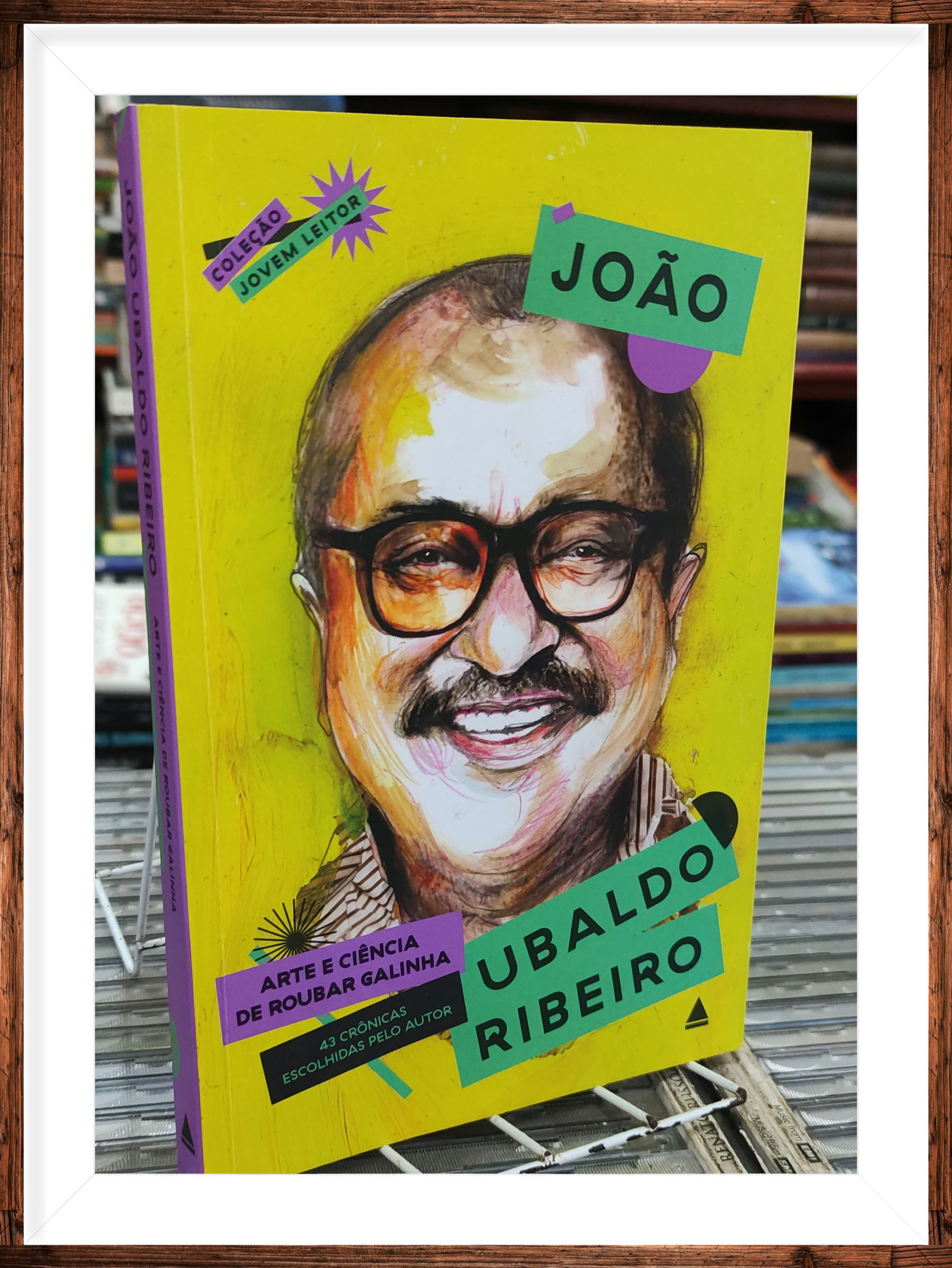 Arte e Ciência de Roubar Galinha João Ubaldo Ribeiro 
