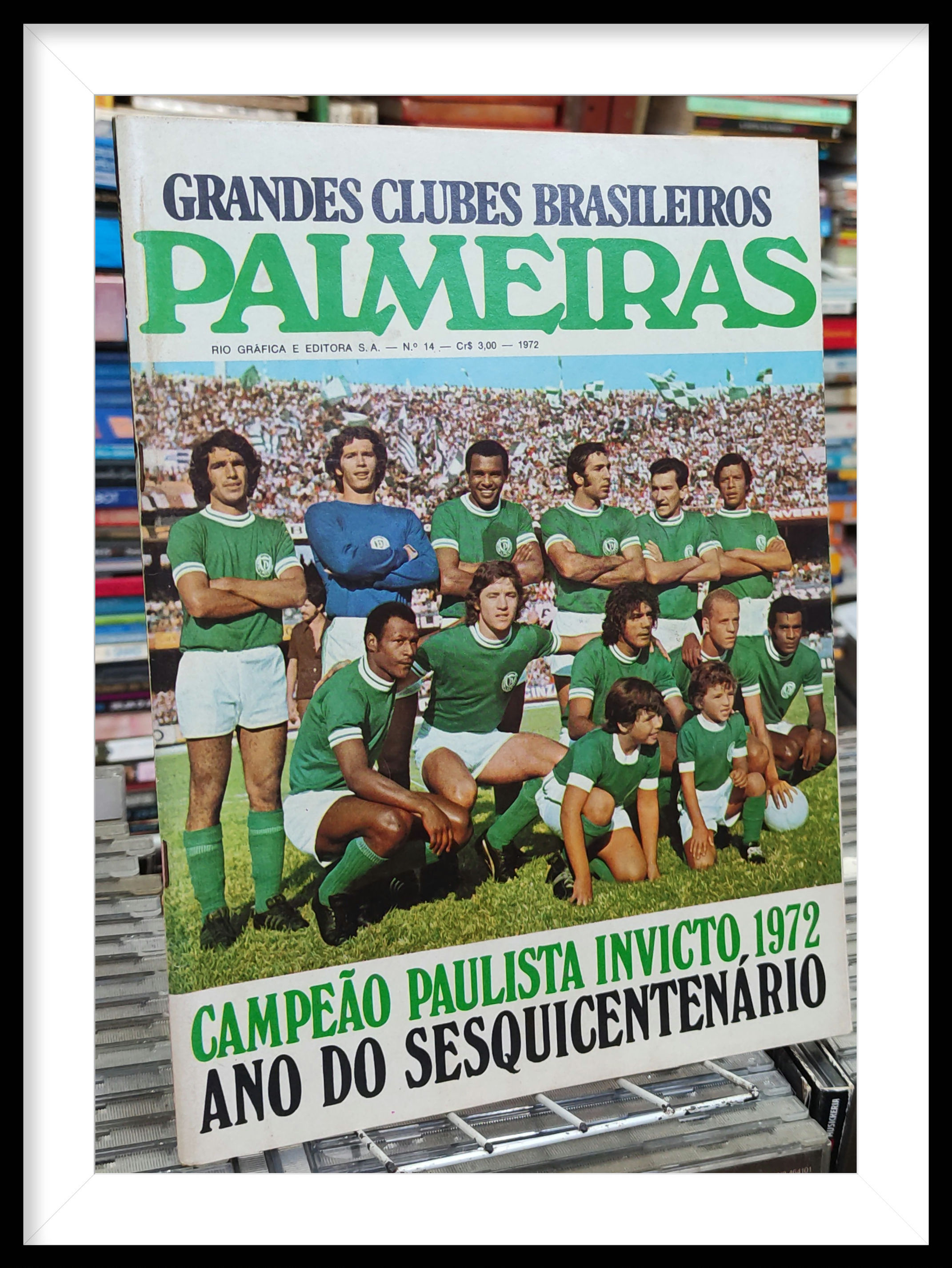 Revista Grandes Clubes Brasileiros Palmeiras N 14 (1972) 