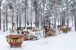 20190208-_T4A6576.jpg
